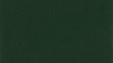 Rehau 9773 KALEIDO FOIL - Dunkelgrün genarbt