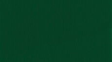 Rehau 4925 KALEIDO FOIL - Moosgrün genarbt