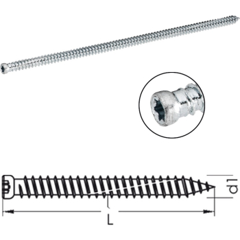 [SET] greenteQ Fensterrahmenschraube Zylinderkopf 7,5 mm T30 i-Stern