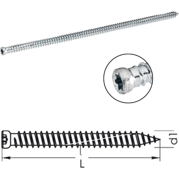 greenteQ Fensterrahmenschraube i-Stern Zylinderkopf Übersicht