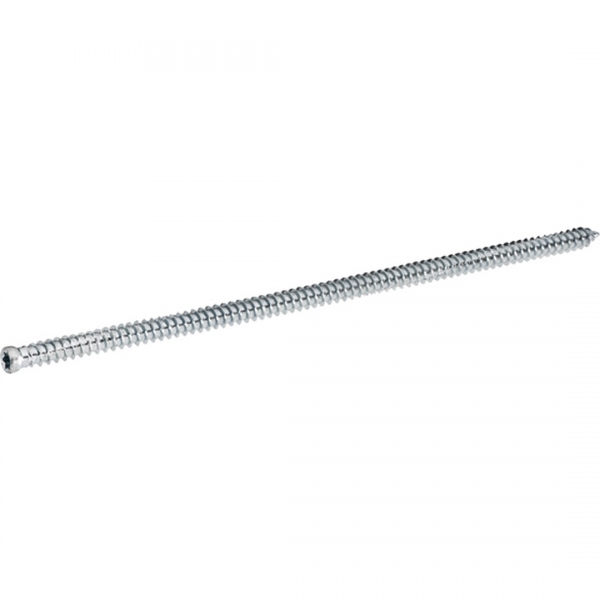 greenteQ Fensterrahmenschraube Zylinderkopf